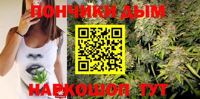 спиды Дубна