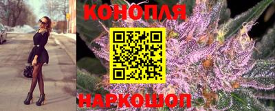 мдпв Донской