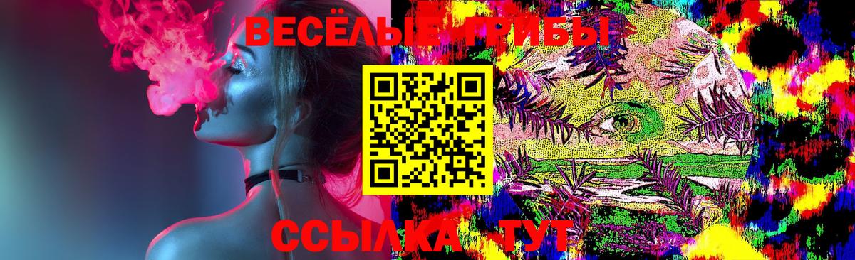 Псилоцибиновые грибы GOLDEN TEACHER Нарткала