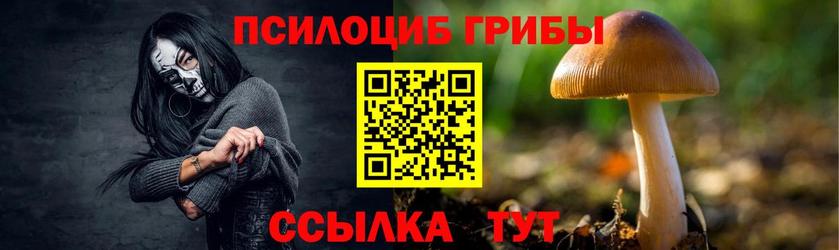 Галлюциногенные грибы прущие грибы  где купить наркотик  Нарткала  Вход с VPN  Галлюциногенные грибы MAGIC MUSHROOMS 